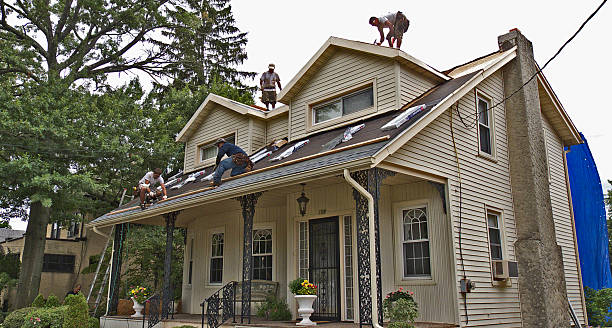 Best Roof Leak Repair  in Farmer City, IL
