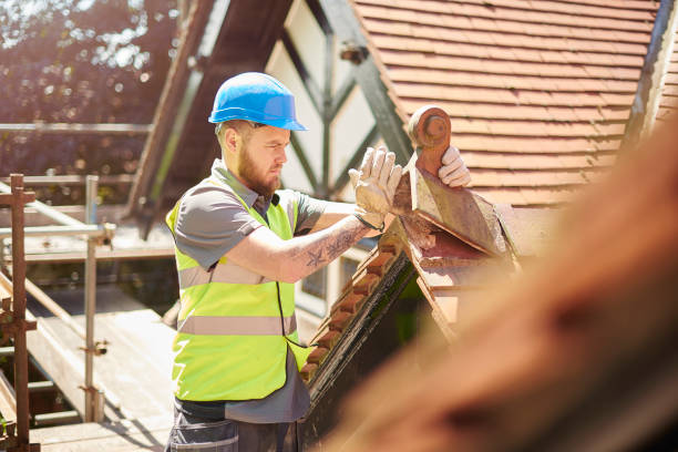 Best Roof Waterproofing Services  in Farmer City, IL